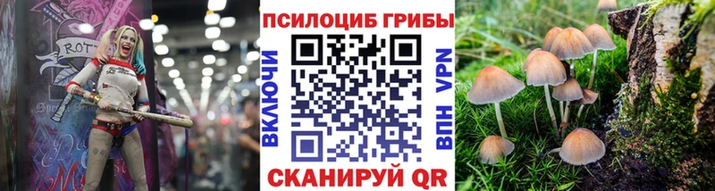 Псилоцибиновые грибы мицелий  мега ONION  Карталы  купить наркотики цена 